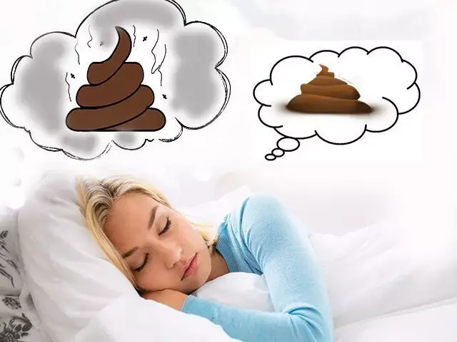 What does feces in a dream mean
