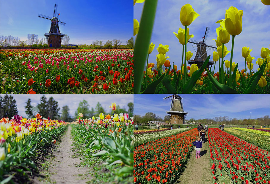 Holland